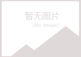 河池山柳媒体有限公司